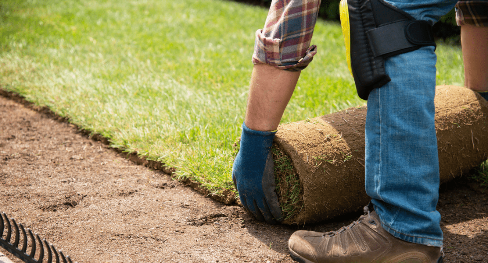 Sod Installation