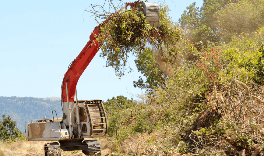 Miller Land Services