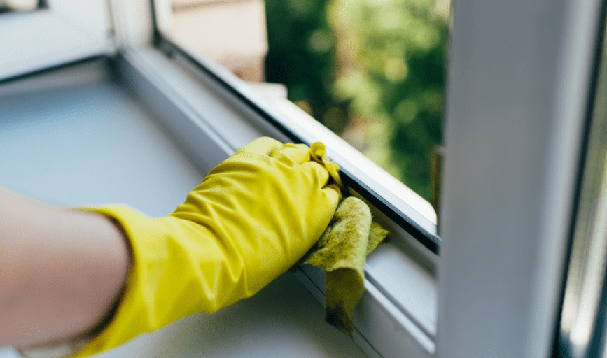 INTERIOR WINDOW CLEANING