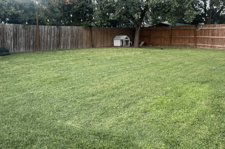 Neira Lawncare Services