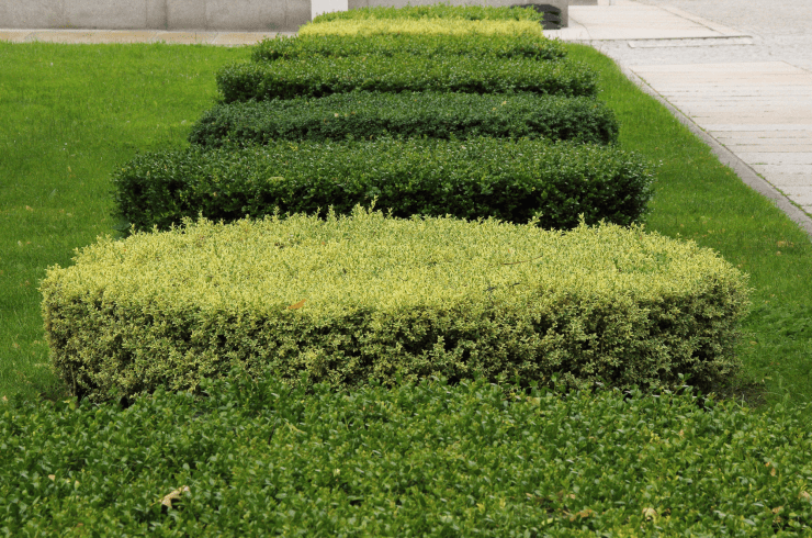 Jimmy Rays Landscaping