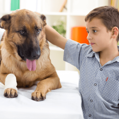 MOBILE VETERINARIAN