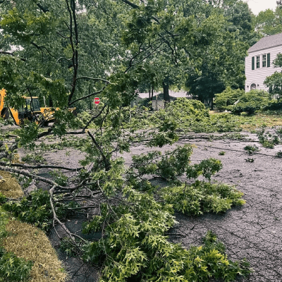 TREE STORM DAMAGE CLEANUP