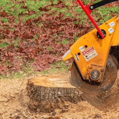 STUMP GRINDING