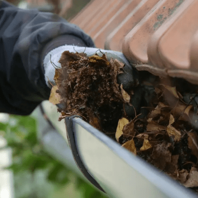 GUTTER CLEANING SERVICE