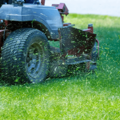 LAWN MOWING