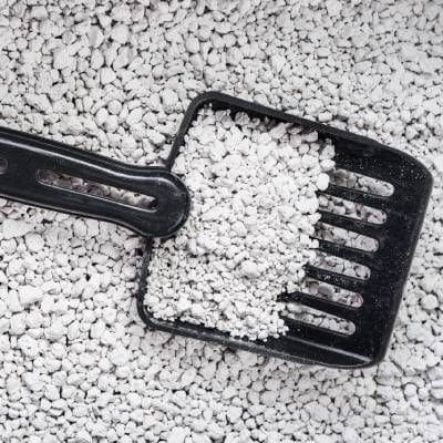 LITTER BOX CLEANING SERVICES