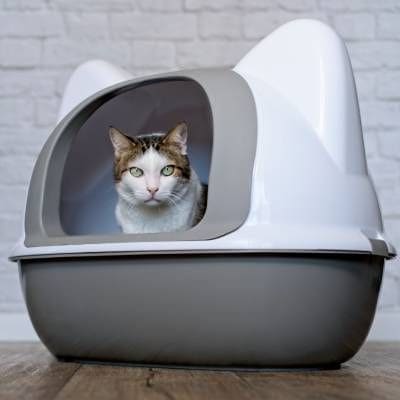 LITTER BOX SANITIZING SERVICES