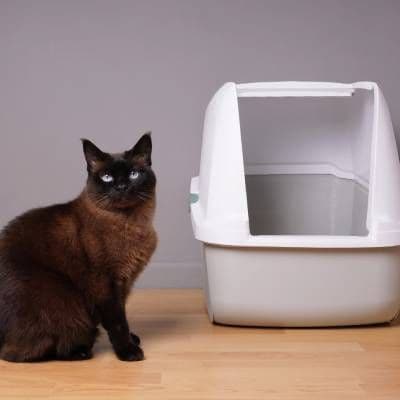 CAT WASTE DISPOSAL