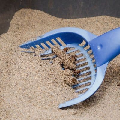 CAT WASTE REMOVAL SERVICES