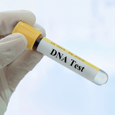DNA TESTING SERVICE