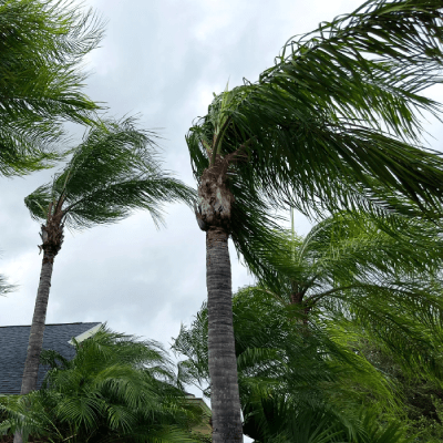 WIND MITIGATION INSPECTION