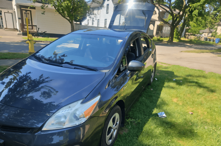 Divine Level Detailing 