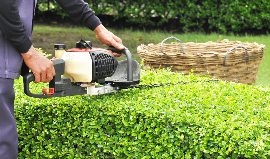 HEDGE TRIMMING