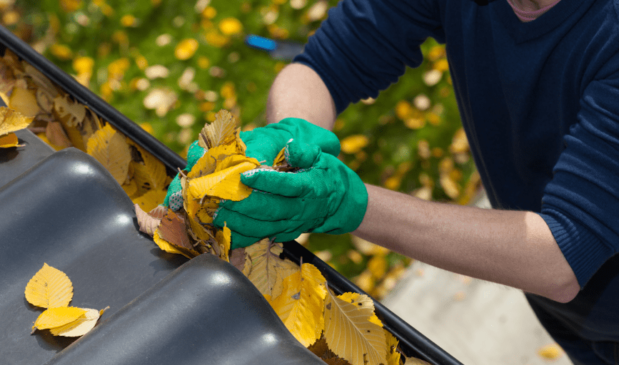 GUTTER CLEANING