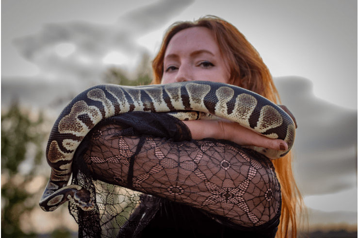 Ashley's Pawsitive Pet Sitting