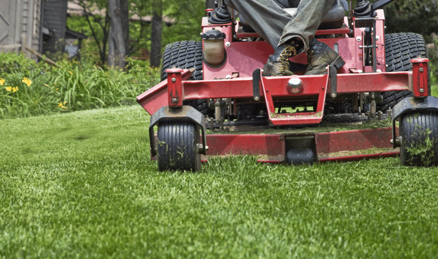 LAWN MOWING