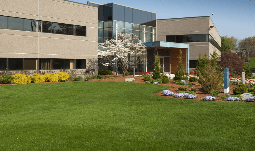 COMMERCIAL LANDSCAPING