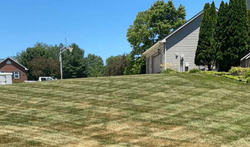 LAWN MAINTENANCE