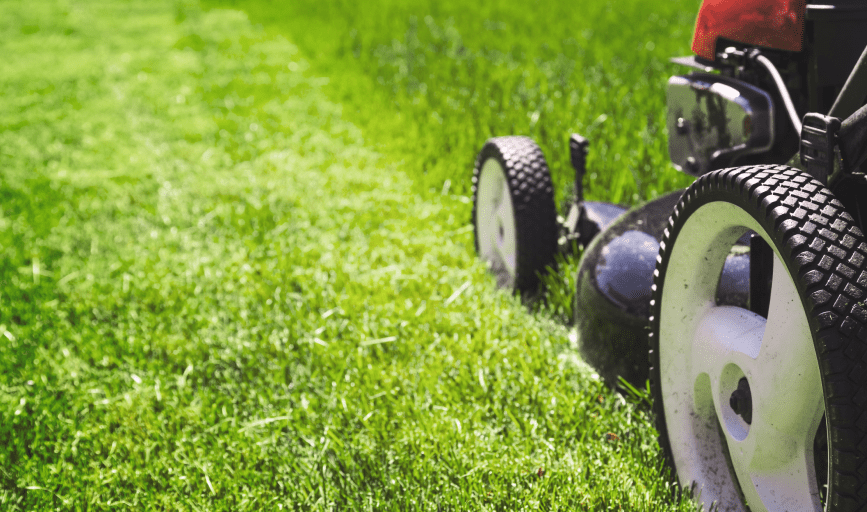LAWN CARE SERVICES