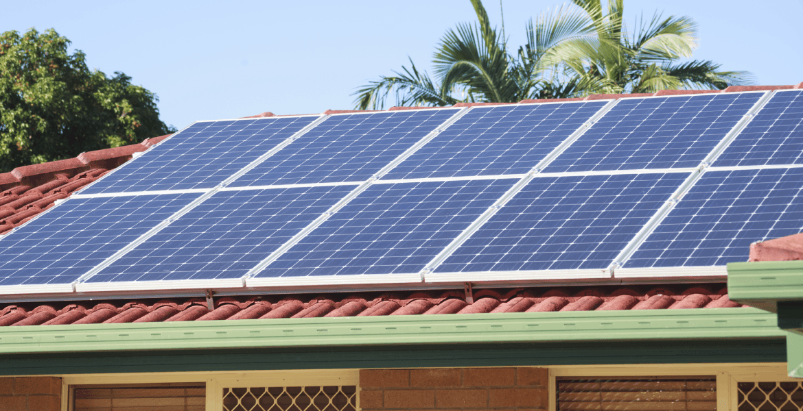 Absolute Window Cleaning Services