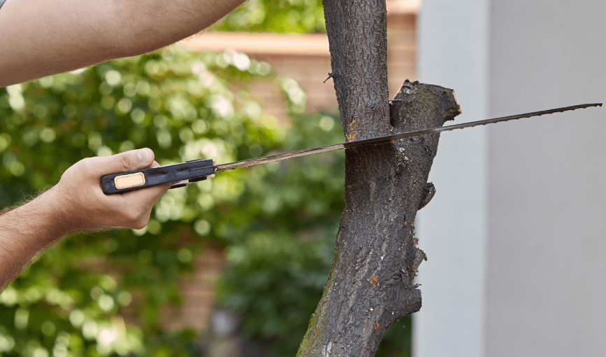 COMMERCIAL TREE SERVICE