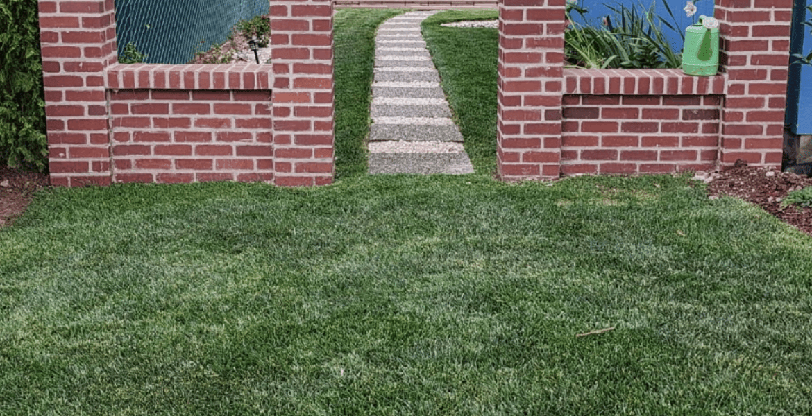 Guillermo C.S Landscaping Services