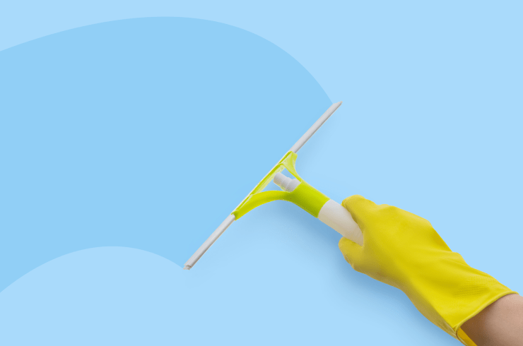 Sheer Window Cleaning