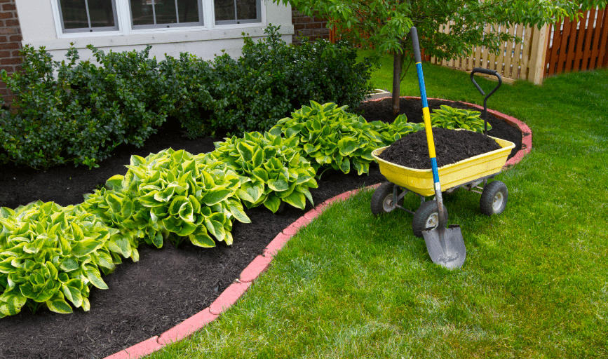 LANDSCAPE MAINTENANCE