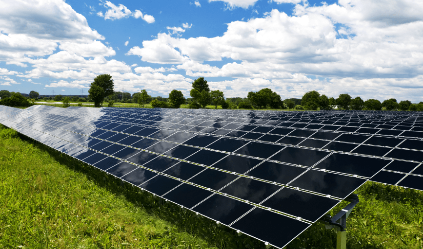 SOLAR FARM CLEANING