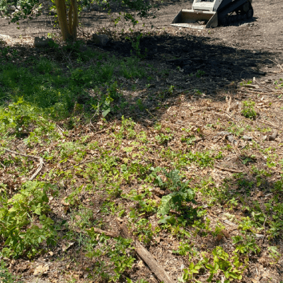 DEBRIS REMOVAL SERVICE