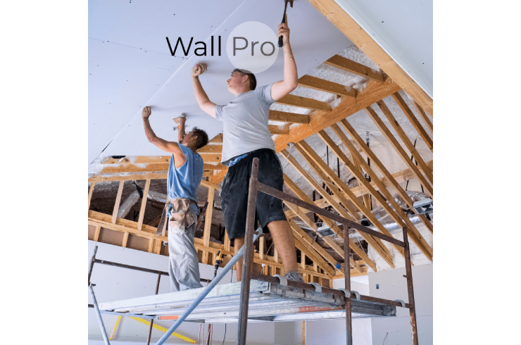 Wall Pro