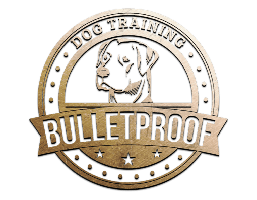 Bulletproof Dog Training