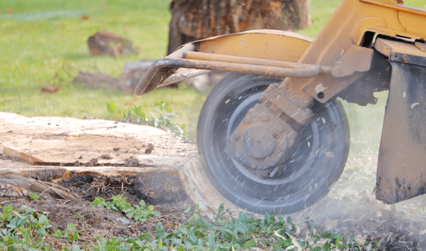 STUMP GRINDING