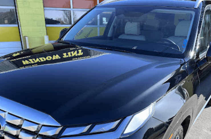 Majestic Tint Pro AZ