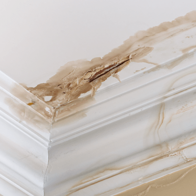 WATER DAMAGE REPAIR