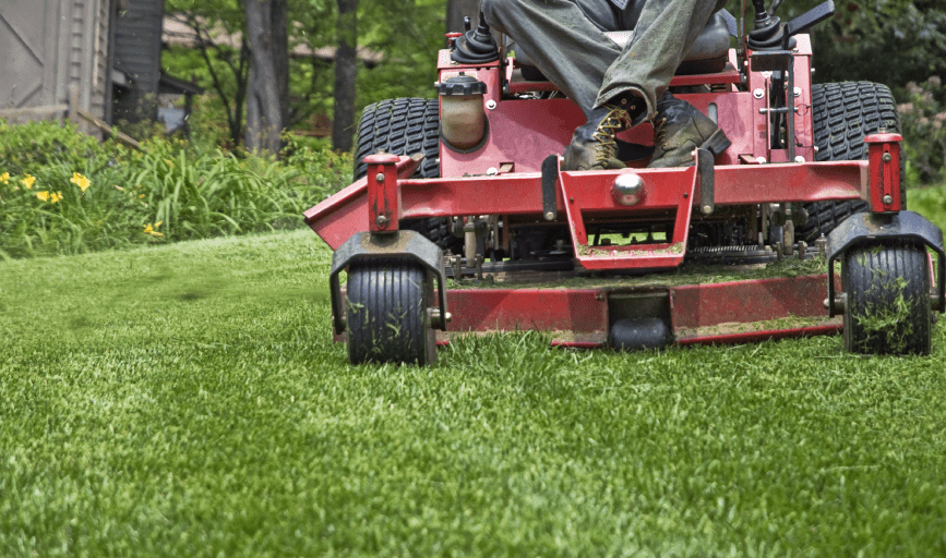 LAWN MOWING