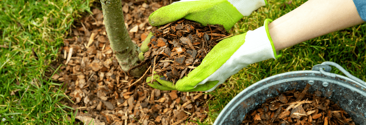 Ervin’s Landscaping