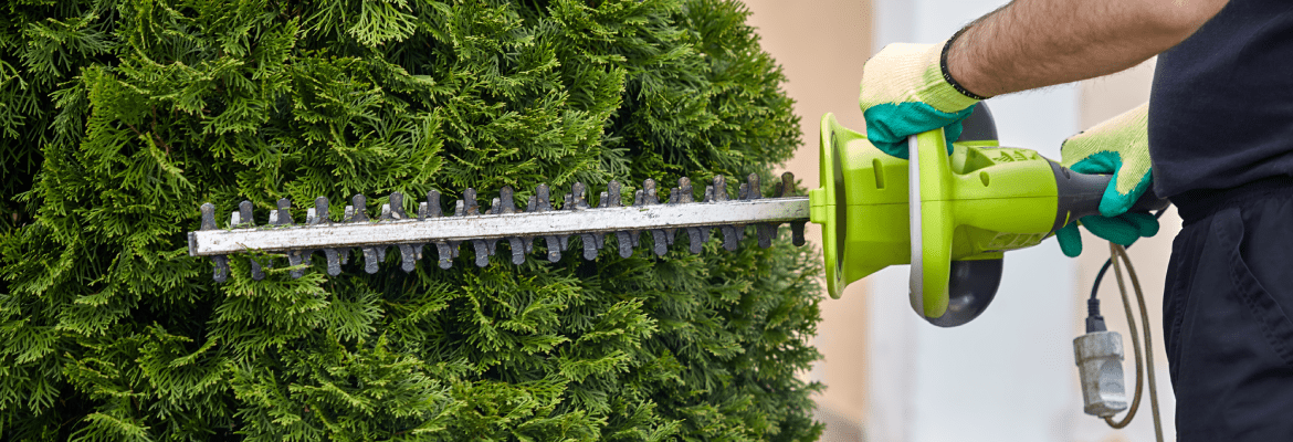 Ervin’s Landscaping