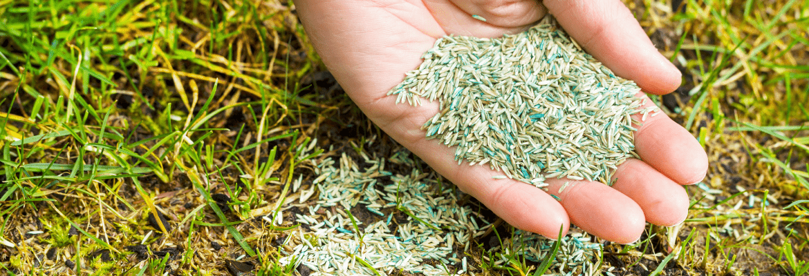 Ervin’s Landscaping