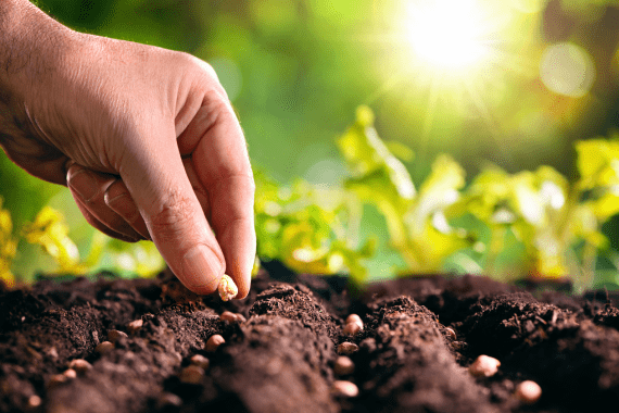 Ervin’s Landscaping