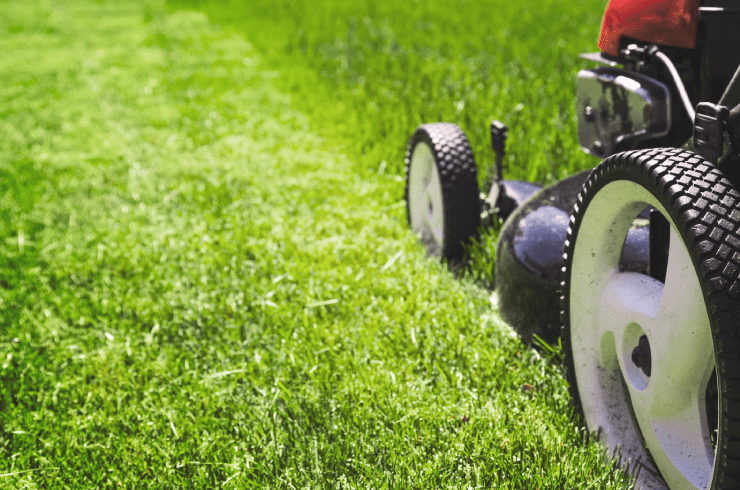 A Better Way Earth Maintenance