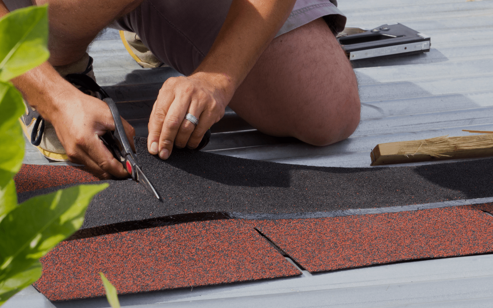 Shingle Roofing