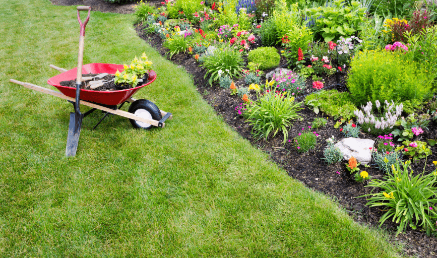DFJ Landscaping