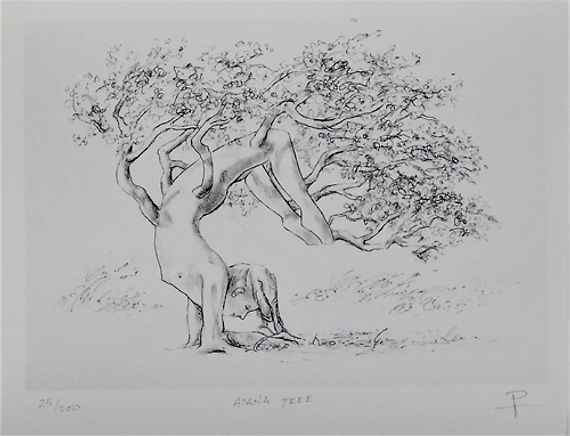 Asana Tree 10 X 14
