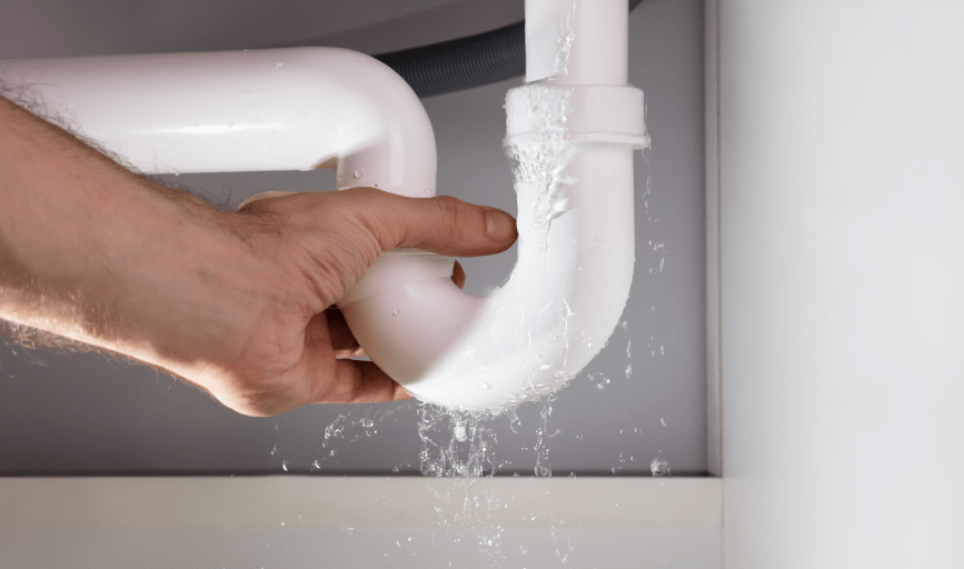 The Plumbers Plumber