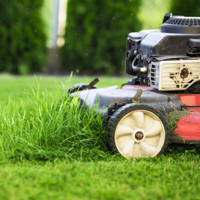 LAWN MOWING