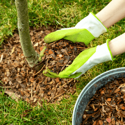 MULCHING