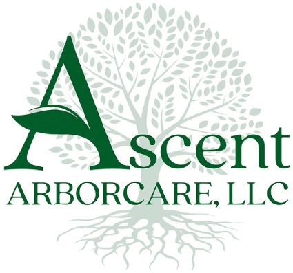 Ascent Arborcare