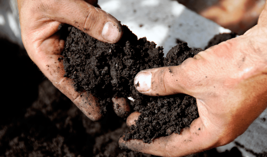 ORGANIC FERTILITY MANAGEMENT